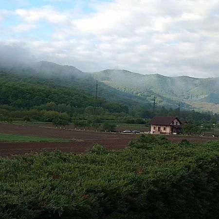 Vila Gosen Sard Екстериор снимка